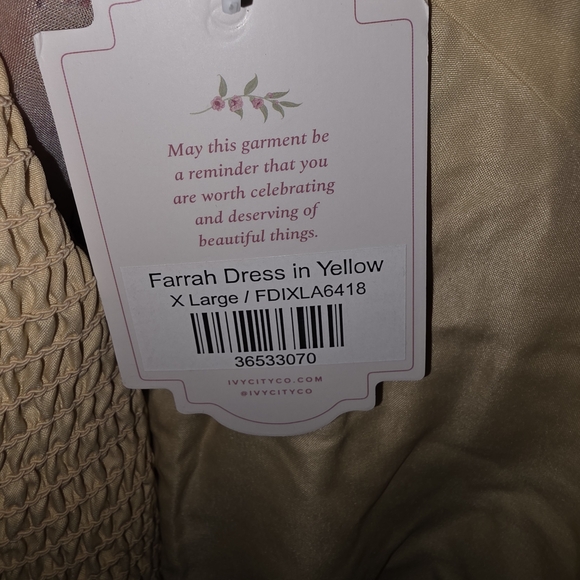 Ivy City Co Floral Lace Midi Dress - Yellow and Pink - Picture 12 of 12